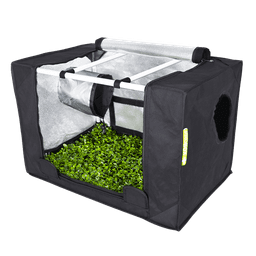 Armario Garden Highpro Probox Propagator (3)