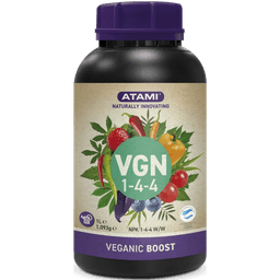 Atami VGN Boost 1-4-4 (2)