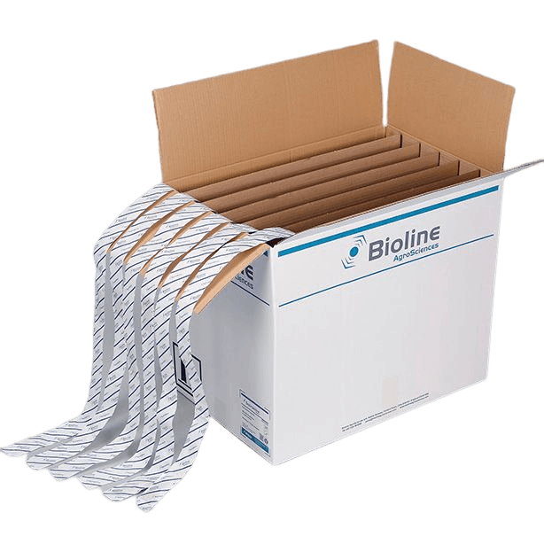 Starskii - Amblyseius Swirskii 6 Tiras 100m 125.000 (Mosca Blanca)