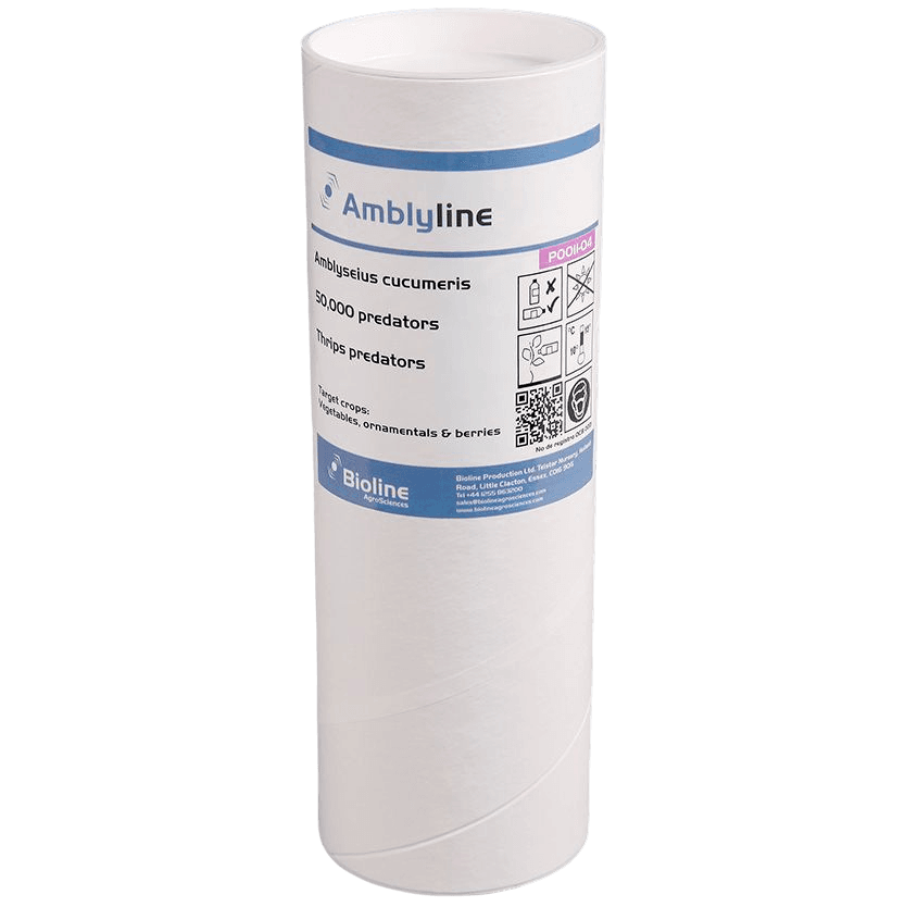 Amblyline - Bran-vermiculite - Tubo - 50.000 Individuos - Amblyseius cucumeris (Trips)