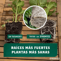 Dynomyco Micorrizas 200gr (4)