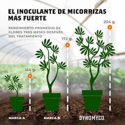 Dynomyco Micorrizas 340gr (2)