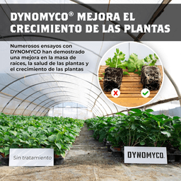 Dynomyco Micorrizas 340gr (4)