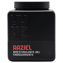 Raziel (Enraizante Solido) (2)