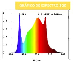 Eluxe Light Pro 1000W (2)