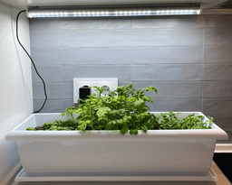 LEDD0078 - Meliflor TLed Kitchengrow 26W 6600K + Imanes + Temporizador (3)