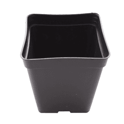 Maceta Cuadrada Eco Negra (1)