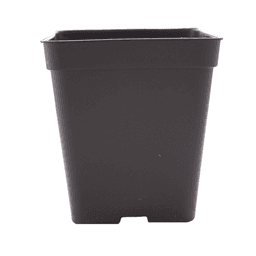 Maceta Cuadrada Eco Negra (2)