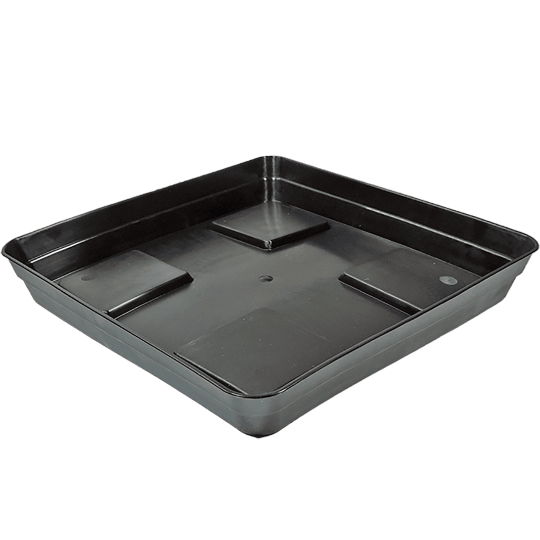 Plato Cuadrado Eco Negro con Soporte