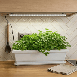 Kit Meliflor Garden Kitchen + Iluminación (3)