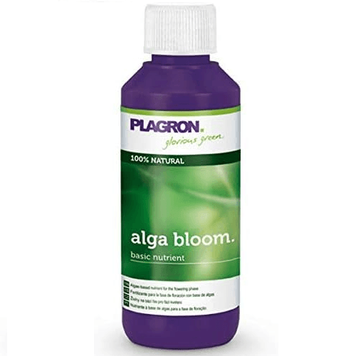 Plagron Alga Bloom