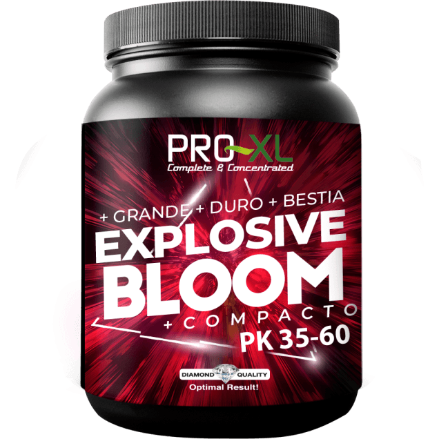 PRO-XL Explosive Bloom
