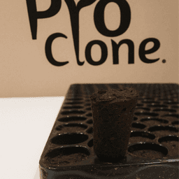 Pro-Clone Bandeja 104 Alveolos Semillas/Esquejes (Caja 8Und) (3)