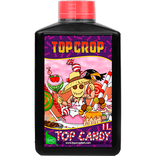Top Crop Top Candy
