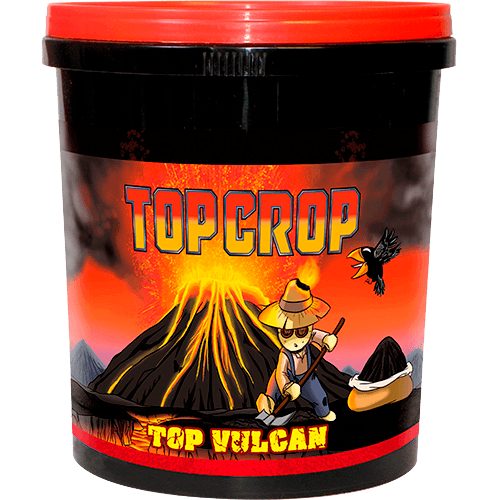 Top Crop Top Vulcan (Harina de Lava)