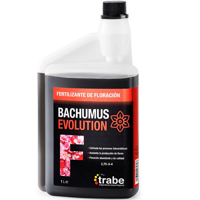 Trabe Bachumus Evolution Floración (1L - 20L)