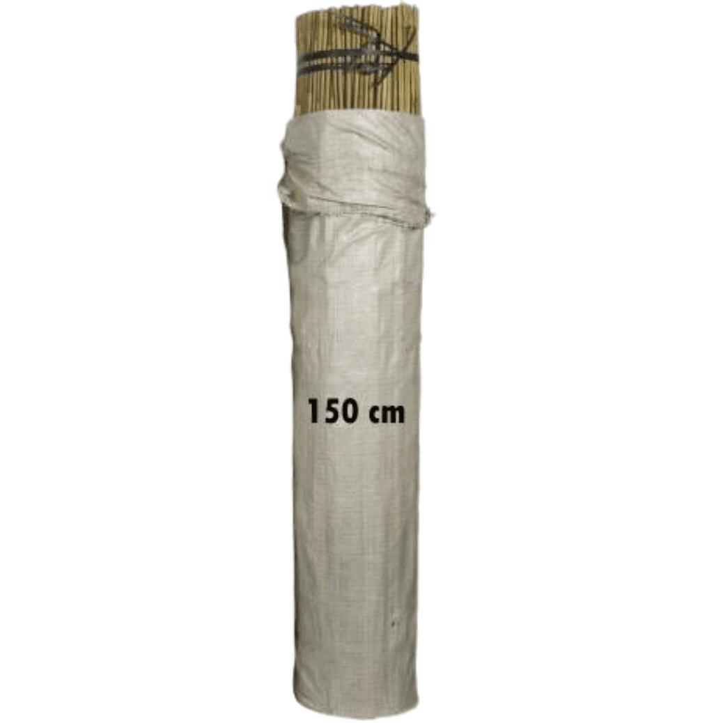 Tutor Bambú 150cm 10-12mm (250uds)