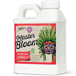 Xpert Nutrients Master Bloom A+B (2)