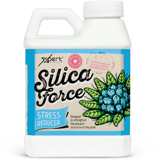 Xpert Nutrients Silica Force