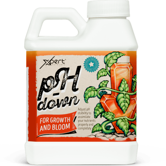 Xpert Nutrients Ph Down