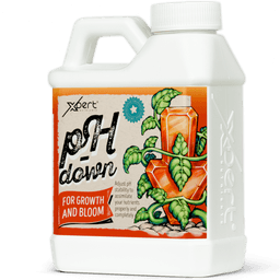 Xpert Nutrients Ph Down (2)