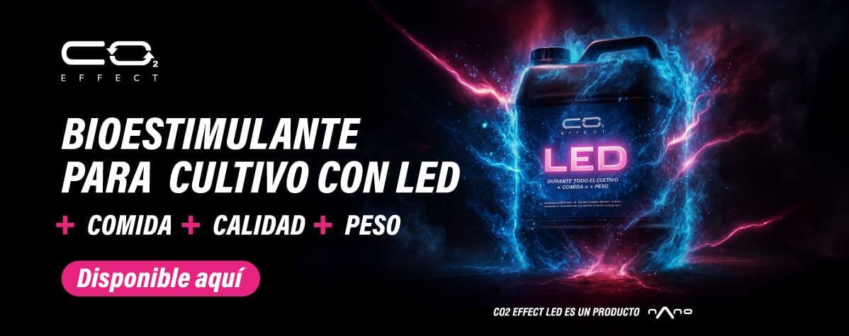CO2 Effect Led