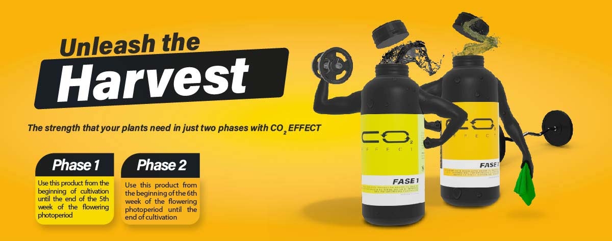 Blow up the cos eca with the co2 effect. The strength your plants need in just two phases